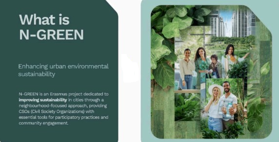 N-GREEN Talks: Insights from Focus Groups Across Partner Countries